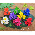 Hot Sale 3-Head EVA Foam Plumeria Hair Pick